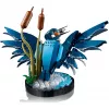 LEGO Icons Kingfisher Vogel-Set Modellbau-Set für Erwachsene mit Wasser-Setting und Ausstellungsständer, tolles Wohn- und Büro-Dekor für den Schreibtisch, Valentinstag