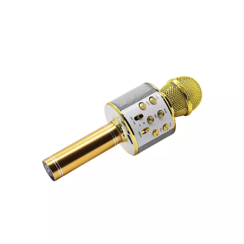 Mikrofon MANTA MIC10-G Gold Niere tragbar — Kondensator-Niere, Handdesign