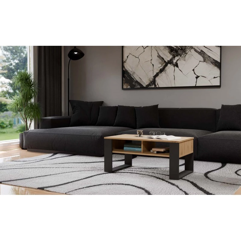 Couchtisch top e shop Modern 90×58×50 cm, anthrazitfarbener Rahmen, Regalböden in Eiche Artisan matt