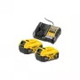 Akku- und Ladegerät-Set DeWALT DCB1104P2 18 V 5,0 Ah (2 Akkus, Ladegerät)