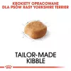 ROYAL CANIN BHN Yorkshire Terrier Adult - Trockenfutter für Hunde - 3kg