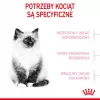 Trockenfutter für Katzen Royal Canin Kitten 4 kg Geflügel — Junior-Trockenfutter, 36 % Protein, 18 % Fett