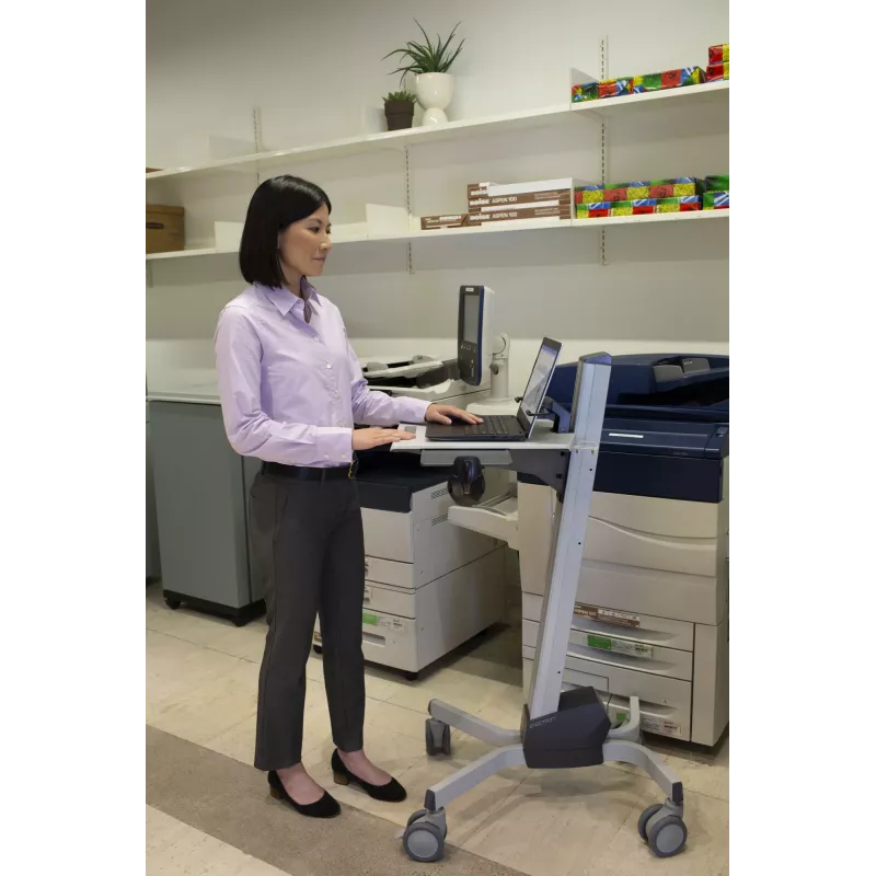 Multimedia-Wagen Ergotron Neo-Flex Laptop Cart