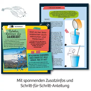 Kosmos 65787, Augmented Reality, 8 Jahr(e), Mehrfarbig Kosmos 65787. Typ: Augmented Reality, Empfohlenes Alter (mind.): 8 Jahr(e), Produktfarbe: Mehrfarbig