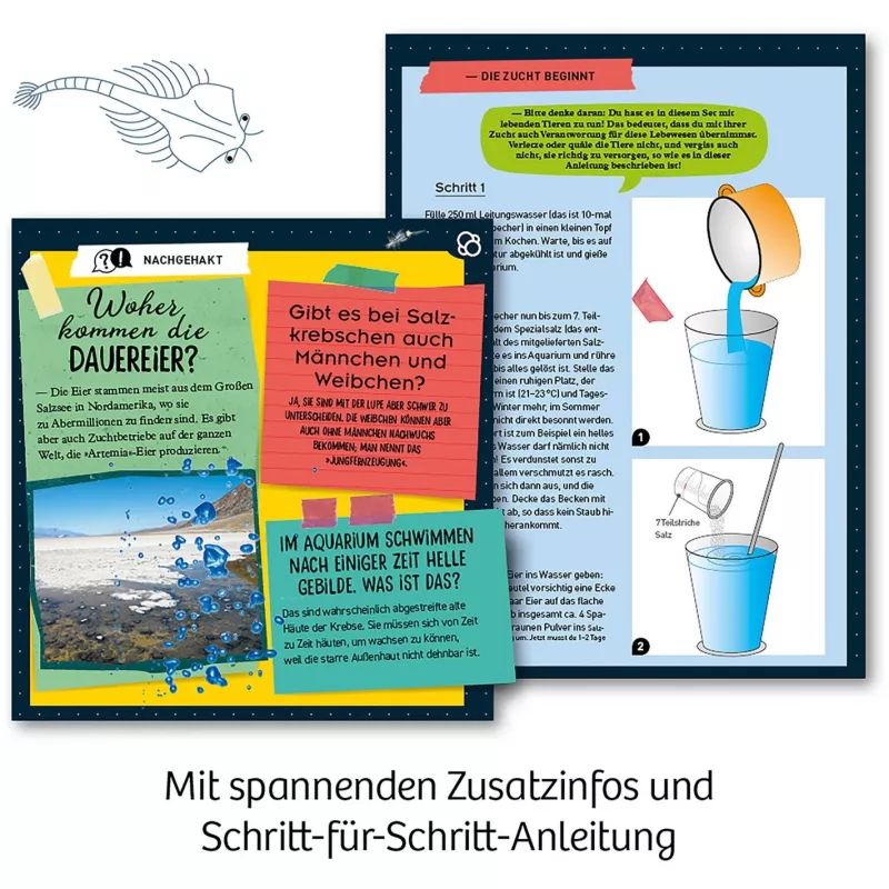 Kosmos 65787, Augmented Reality, 8 Jahr(e), Mehrfarbig Kosmos 65787. Typ: Augmented Reality, Empfohlenes Alter (mind.): 8 Jahr(e), Produktfarbe: Mehrfarbig