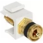 Keystone-Modul DeLOCK 86303