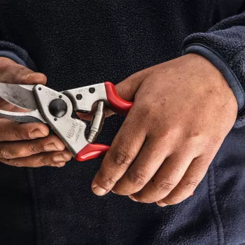 Felco | Linkshänder-Astschere | FELCO 16