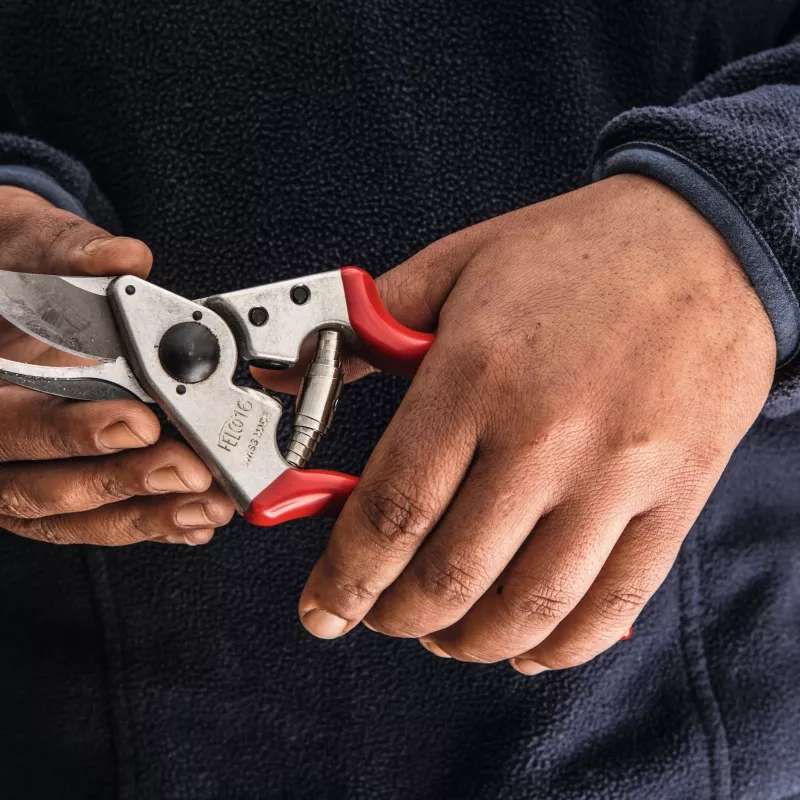 Felco | Linkshänder-Astschere | FELCO 16