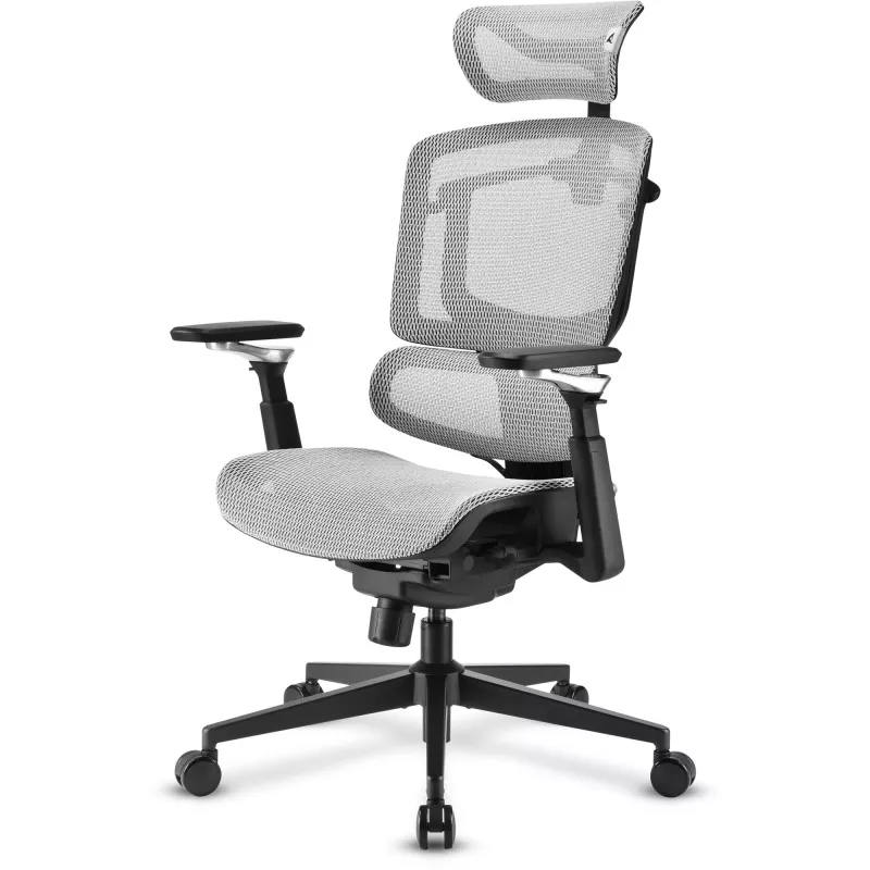 Bürostuhl Sharkoon OfficePal C50M — gepolsterte Sitzfläche, Netzrückenlehne, schwarz, Rückenlehne 49 × 63 cm, Sitzbreite 50 cm