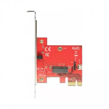 Interner M.2-Adapter DeLOCK 89889