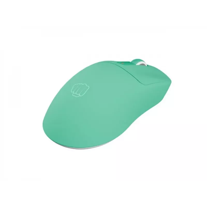 Kabellose Maus Fury Tanto T4 Mintgrün — einstellbare DPI, USB-Empfänger, ergonomisches Design