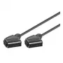 Wentronic Goobay Scart-Verbindungskabel, Schwarz, 2 m - SCART-Stecker (21-polig) > SCART-Stecker (21-polig) (11703)