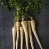Samen – Pastinake (Pietruszka Korzeniowa Alba) 3 g Packung von Seklos LT