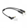 DeLOCK Audiokabel 0,25 m 3,5 mm 2 x 3,5 mm Schwarz