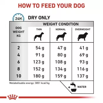 Trockenfutter für Hunde Royal Canin Anallergenic Small – hypoallergene Rezeptur für kleine ausgewachsene Hunde, 3 kg, Fleischgeschmack, gluten- und zuckerfrei