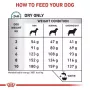 Trockenfutter für Hunde Royal Canin Anallergenic Small – hypoallergene Rezeptur für kleine ausgewachsene Hunde, 3 kg, Fleischgeschmack, gluten- und zuckerfrei