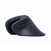 Gembird MUSW-ERGO-03 Maus Home Rechtshänder RF Kabellos Optisch 1600 DPI