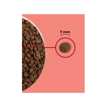 ACANA Highest Protein Innenbereich Cat - Trockenfutter für Katzen - 4,5 kg