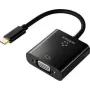 Renkforce RF-4679564 Video-Kabeladapter 0,1 m USB Type-C VGA (D-Sub) Schwarz (RF-4679564)