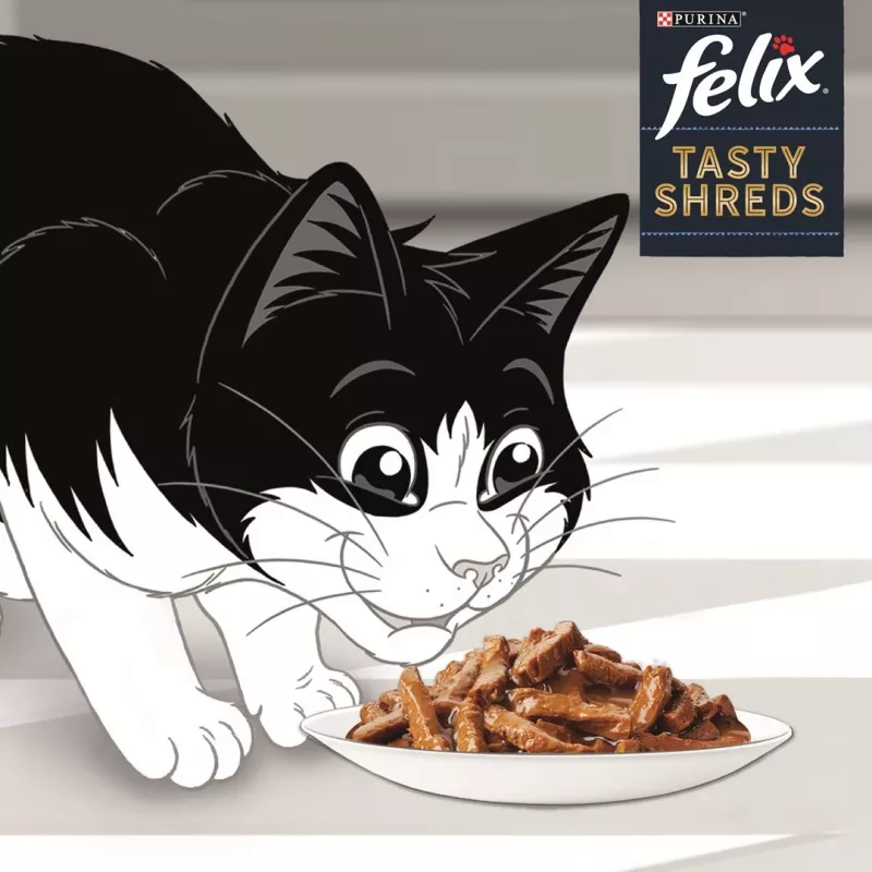 FELIX Tasty Shreds mit Lachs und Thunfisch - 4x 80g