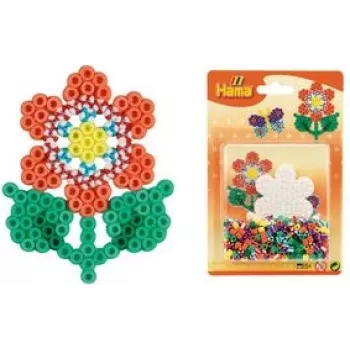 Hama Digitales Foto-Zubehör-Kit-Box (00004188)