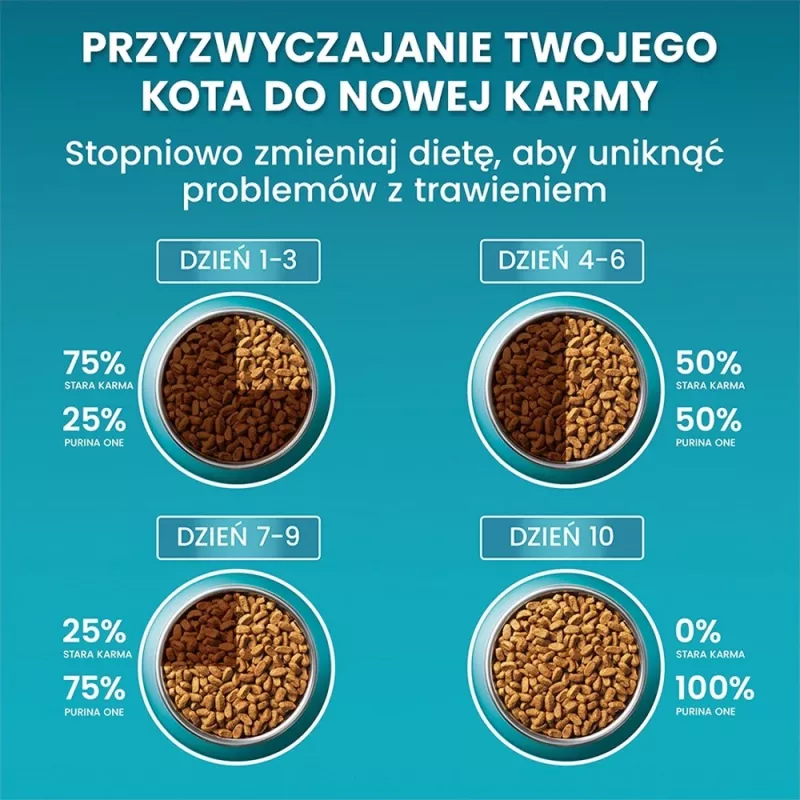 PURINA One Bifensis Senior 7+ - Trockenfutter für Katzen - 800 g