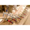 F-Schraubzwinge BESSEY GZ30-2K 30 cm Schwarz Rot Edelstahl