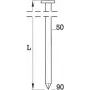 Coilnägel BeA BDC 3,1 x 80 mm blank glatt, 3600er-Pack