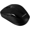 Maus Canyon CNR-MSOW06B RF Wireless