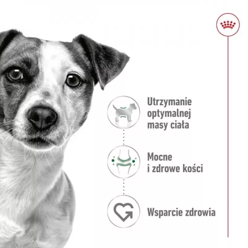 ROYAL CANIN Adult Mini S - Trockenfutter für Hunde - 2 kg