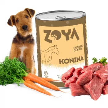 ZOYA Pferd - Nassfutter für Hunde - 400g