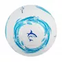 Fußball White Shark TB-001 Dribbler 32-Panel Größe 5