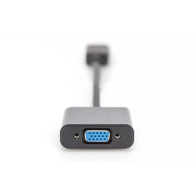 Digitus DisplayPort Adapter / Konverter