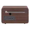 Tragbares DAB+ Radio Imperial DABMAN i170 — FM/DAB+ Tuner, 10 W RMS, 6,1 cm (2,4 Zoll) Display, 3,5 mm, USB-A, schwarz/holzfarben