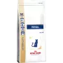 Trockenfutter für Katzen Royal Canin Renal Adult 2 kg — Geflügelgeschmack, 23% Protein, 17% Fett