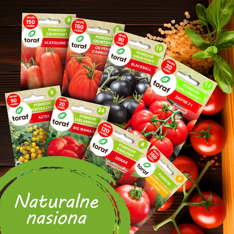 Toraf Tomatensamen-Set Eden – 8 Packungen
