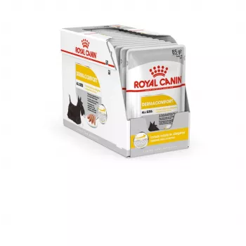 Royal Canin Dermacomfort Adult 85 g Beutel – Nassfutter für Hunde mit empfindlicher Haut, Geflügelgeschmack, 78 % Feuchtigkeit