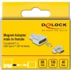 DeLOCK - Thunderbolt / USB-C-Adapter - USB-C (M) magnetisch auf USB-C (W) - USB 3.2 Gen 2 / Thunderbolt 3 4,5 A - 8K-Unterstützung - Silber (66433)