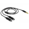 Audiokabel DeLOCK 65575 0,25 m 3,5 mm 2 x 3,5 mm Schwarz