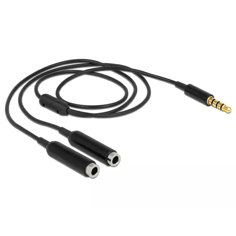 Audiokabel DeLOCK 65575 0,25 m 3,5 mm 2 x 3,5 mm Schwarz