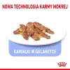 Nassfutter für Katzen Royal Canin Indoor Sterilized 85 g Beutel — ausgewachsene kastrierte Wohnungskatzen, Geflügelgeschmack, Packung 12 x 85 g