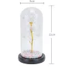 Ewige Rose im Glas Extralink Home, weißes LED-Licht