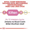Trockenfutter für Katzen Royal Canin British Shorthair Kitten 2 kg – Huhn, 38% Protein, 20% Fett, Wachstumsformel