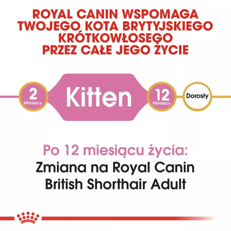 Trockenfutter für Katzen Royal Canin British Shorthair Kitten 2 kg – Huhn, 38% Protein, 20% Fett, Wachstumsformel