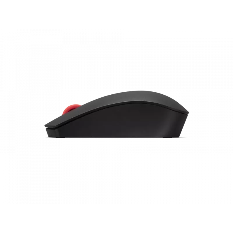 Lenovo Tastatur und Maus kabellos Schwarz