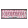 White Shark Roserift mechanische Tastaturschalter, 25 Stück