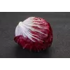 Lettuce Chicory Palla Rossa 3 Toraf Gemüsesamen, 5g-Packung