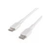 USB-Kabel Belkin BoostCharge 1m USB-C weiß USB 2.0