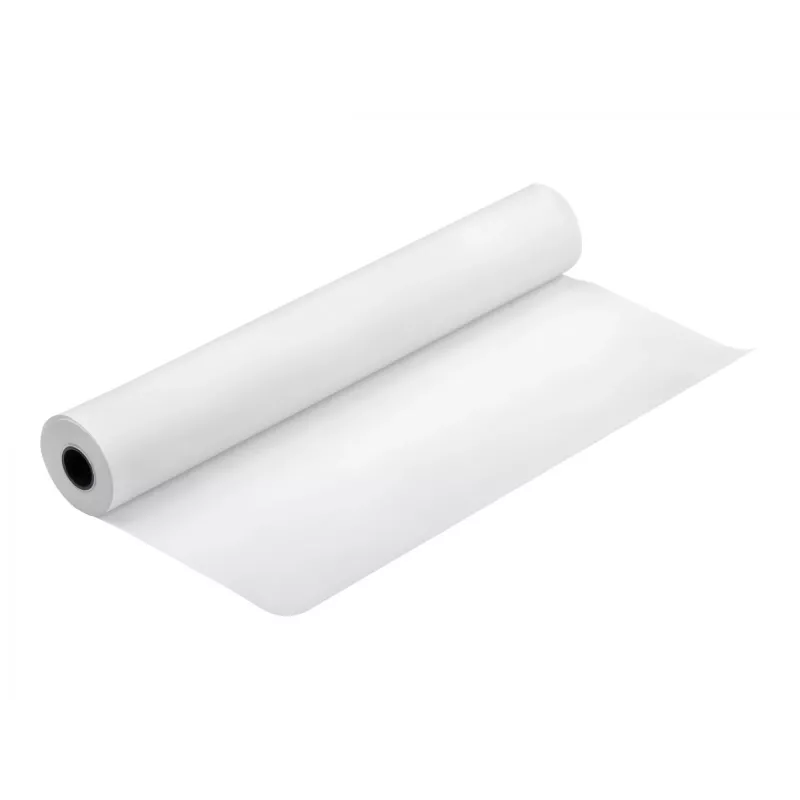 Epson Fotopapier Gloss C13S041892 17 Zoll x 30,5 m 250 g/m²