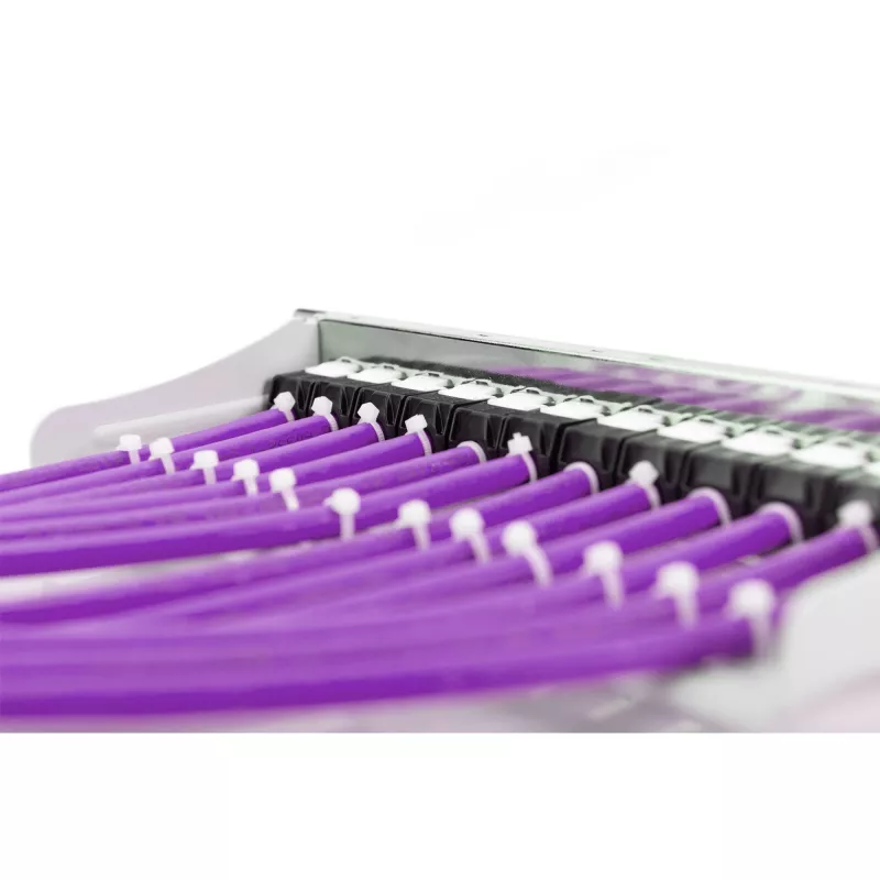 Netzwerkkabel Digitus Cat.6 U/UTP 305 m Violett